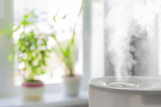An up-close image of a humidifier in action
