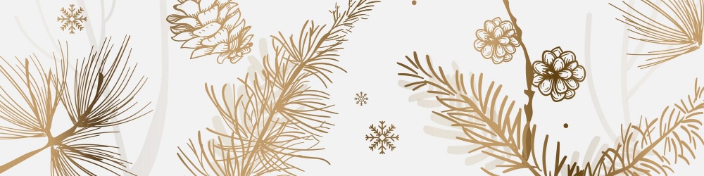 Illustration of pinecones and fir tree branches