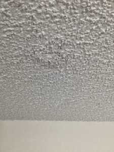 Small drip appearing in ceiling texture