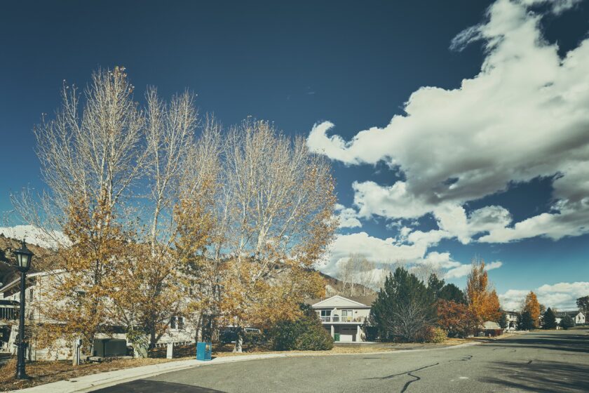 An example of a street lined home in a suburb of Denver, CO