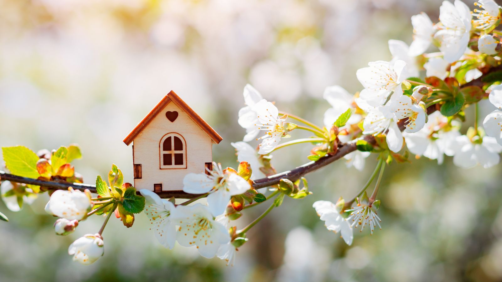 A tiny model home perched in a spring flower blooming tree